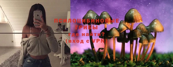 ALPHA PVP Белокуриха