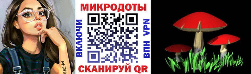 Псилоцибиновые грибы мицелий  Купить  Оха 